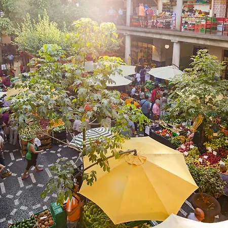 Arriaga I By An Island Appartement Funchal (Madeira)